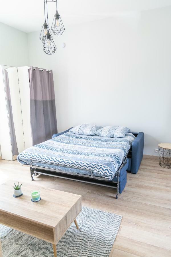 La Douce Angevine Apartment Angers Ngoại thất bức ảnh